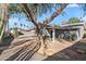 View of backyard with mature tree and gravel landscaping at 1173 E Cordova Ave, Casa Grande, AZ 85122
