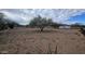 Spacious backyard with desert landscaping and a travel trailer at 2926 W Tanya Trl, Phoenix, AZ 85086