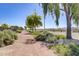 Paved path perfect for walking or biking, showcasing the community's natural beauty at 3827 S 97Th Ave, Tolleson, AZ 85353