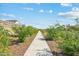 Community sidewalk with landscaping and new homes at 3827 S 97Th Ave, Tolleson, AZ 85353
