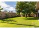 Expansive backyard with lush grass and a large tree at 8151 W Clarendon Ave, Phoenix, AZ 85033