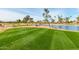 Lush green golf course with manicured fairways at 3582 N 160Th Ave, Goodyear, AZ 85395