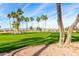 Picturesque view of a golf course with palm trees and mountains in the background at 3582 N 160Th Ave, Goodyear, AZ 85395