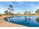 Scenic lakefront view with mature trees and residential homes at 3582 N 160Th Ave, Goodyear, AZ 85395
