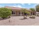 Backyard with desert landscaping and palm trees at 3582 N 160Th Ave, Goodyear, AZ 85395