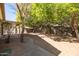 Expansive backyard with mature trees and a covered patio area at 1018 W Juniper Ave, Gilbert, AZ 85233
