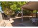 Spacious backyard with covered patio and mature trees providing shade at 1018 W Juniper Ave, Gilbert, AZ 85233