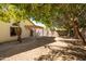 Large backyard with mature trees and covered patio at 1018 W Juniper Ave, Gilbert, AZ 85233