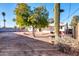 View of backyard, showcasing mature trees and cacti at 8319 E Palm Ln, Scottsdale, AZ 85257
