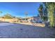 Spacious backyard with gravel, covered patio and large tree at 8836 N 28Th Dr, Phoenix, AZ 85051