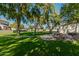 Community with grassy lawn and picnic area at 1116 E Belmont Ave, Phoenix, AZ 85020