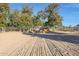 Large riding arena perfect for horses at 4331 W Port Au Prince Ln, Glendale, AZ 85306