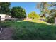 Large grassy backyard with chain link fence and storage shed at 4331 W Port Au Prince Ln, Glendale, AZ 85306