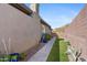 Landscaped side yard with a pathway, creating a serene outdoor space at 2549 W Shinnecock Way, Anthem, AZ 85086