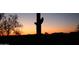 Sunset view of desert landscape with saguaro cacti at 2549 W Shinnecock Way, Anthem, AZ 85086