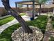 Landscaped backyard with artificial turf and a large tree near hot tub at 2549 W Shinnecock Way, Anthem, AZ 85086