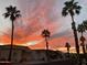 Sunset view of manufactured home community with palm trees at 17200 W Bell Rd # 667, Surprise, AZ 85374