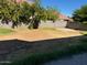 Large, mostly empty backyard at 2474 E Westchester Dr, Chandler, AZ 85249