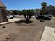 Landscaped front yard with gravel, a palm tree, and street view at 2474 E Westchester Dr, Chandler, AZ 85249