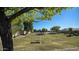 Peaceful community with grassy areas and trees at 7585 W Tumblewood Dr, Peoria, AZ 85382