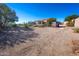 Landscaped backyard with gravel and desert plants at 15339 E Red Bird Rd, Scottsdale, AZ 85262