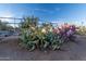 Desert landscape with cacti and metal fencing at 15339 E Red Bird Rd, Scottsdale, AZ 85262