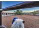View of horses in a well-maintained paddock at 15339 E Red Bird Rd, Scottsdale, AZ 85262