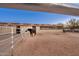 Spacious horse stable with individual stalls and tack room at 15339 E Red Bird Rd, Scottsdale, AZ 85262