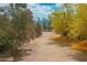 Landscaped path with flowering bushes leading to a scenic view at 15339 E Red Bird Rd, Scottsdale, AZ 85262