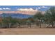 A scenic view of snow capped mountains from a property at 15339 E Red Bird Rd, Scottsdale, AZ 85262