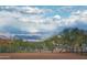 Stunning mountain views from a property with a fenced-in area at 15339 E Red Bird Rd, Scottsdale, AZ 85262