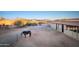 Horse paddock with a horse and barn in background at 15339 E Red Bird Rd, Scottsdale, AZ 85262