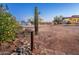 Landscaped yard with citrus trees and desert plants at 15339 E Red Bird Rd, Scottsdale, AZ 85262