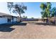 Spacious backyard with a wooden fence and a large tree providing shade at 7228 W Luke Ave, Glendale, AZ 85303