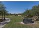 Picnic tables and benches in a grassy park area at 1808 W Horsetail Trl, Phoenix, AZ 85085