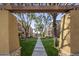 Well-maintained community with a tree-lined walkway and pergola at 158 W Commerce Ct, Gilbert, AZ 85233