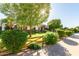 Charming home exterior with a manicured lawn and wooden fence at 2677 E Queen Creek Rd, Gilbert, AZ 85297