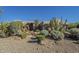Beautiful desert landscaping surrounds this home's entrance at 24005 N 45Th Dr, Glendale, AZ 85310