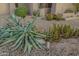 Xeriscaped front yard with gravel, cacti, and succulents at 24005 N 45Th Dr, Glendale, AZ 85310