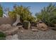 Landscaped backyard with a fire pit and rock features at 24005 N 45Th Dr, Glendale, AZ 85310