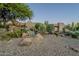 Landscaped front yard with desert plants and large rocks at 24005 N 45Th Dr, Glendale, AZ 85310