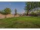 Spacious backyard with lush grass and desert landscaping at 24005 N 45Th Dr, Glendale, AZ 85310