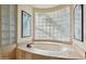 Bathroom with oval-shaped soaking tub and glass block window at 25210 N 90Th Way, Scottsdale, AZ 85255