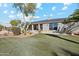 Landscaped backyard with grassy lawn and home exterior view at 25210 N 90Th Way, Scottsdale, AZ 85255