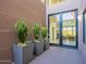 Modern courtyard with three potted cacti at 37200 N Cave Creek Rd # 1002, Scottsdale, AZ 85262