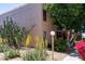 Building exterior showcasing desert landscaping and architectural details at 5998 N 78Th St # 220, Scottsdale, AZ 85250