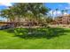Landscaped grounds with lush green grass and trees at 14950 W Mountain View Blvd # 1305, Surprise, AZ 85374