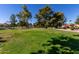 Landscaped green space with mature trees and pathways at 542 S Higley Rd # 99, Mesa, AZ 85206