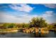 Serene pond with waterfall and desert landscape at 27808 N Desierto Dr, Rio Verde, AZ 85263