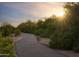 Paved path meanders through desert vegetation at 3812 W Antelope Way, San Tan Valley, AZ 85144